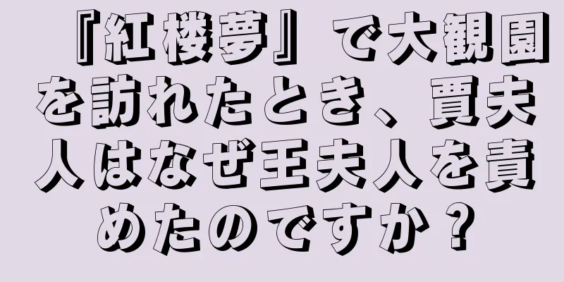 『紅楼夢』で大観園を訪れたとき、賈夫人はなぜ王夫人を責めたのですか？