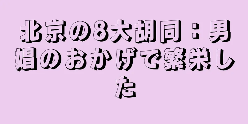 北京の8大胡同：男娼のおかげで繁栄した