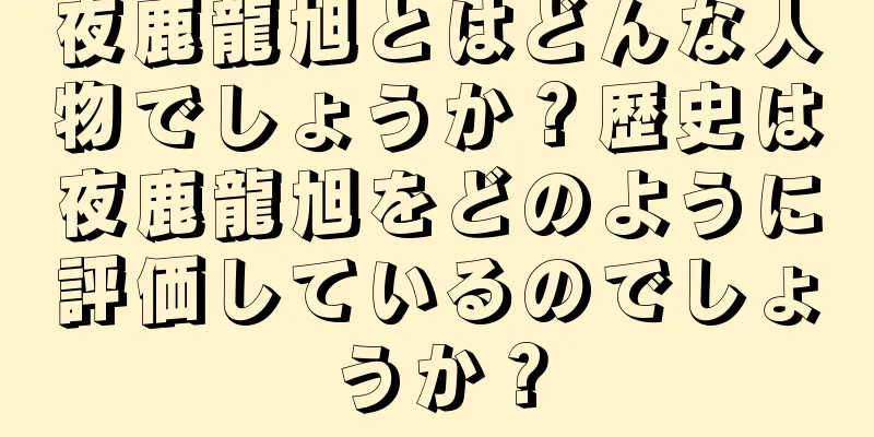 夜鹿龍旭とはどんな人物でしょうか？歴史は夜鹿龍旭をどのように評価しているのでしょうか？