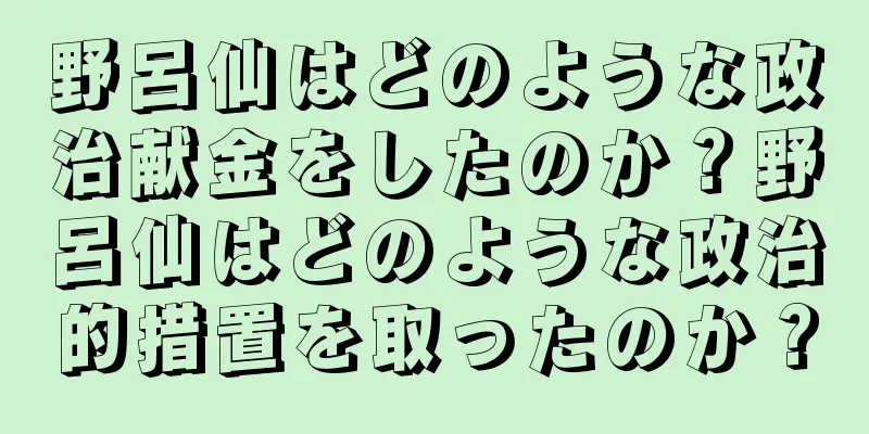 野呂仙はどのような政治献金をしたのか？野呂仙はどのような政治的措置を取ったのか？