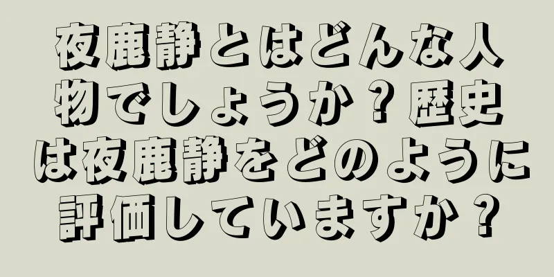 夜鹿静とはどんな人物でしょうか？歴史は夜鹿静をどのように評価していますか？