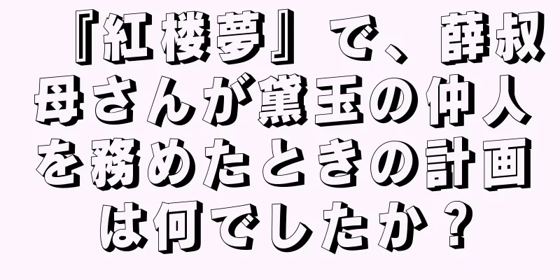 『紅楼夢』で、薛叔母さんが黛玉の仲人を務めたときの計画は何でしたか？