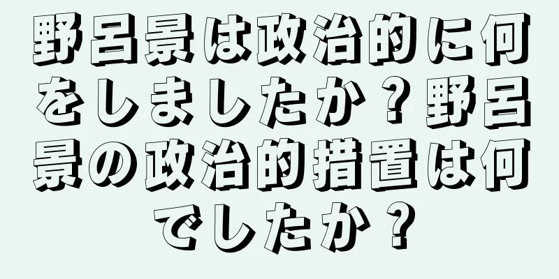 野呂景は政治的に何をしましたか？野呂景の政治的措置は何でしたか？
