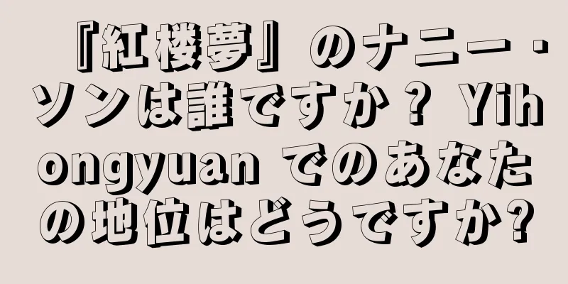 『紅楼夢』のナニー・ソンは誰ですか？ Yihongyuan でのあなたの地位はどうですか?