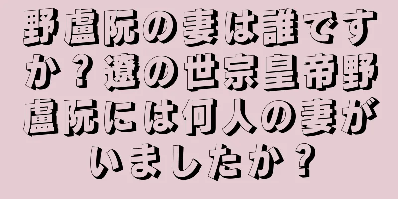野盧阮の妻は誰ですか？遼の世宗皇帝野盧阮には何人の妻がいましたか？