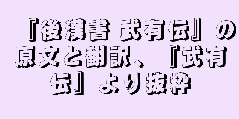 『後漢書 武有伝』の原文と翻訳、『武有伝』より抜粋