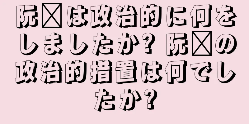 阮璜は政治的に何をしましたか? 阮璜の政治的措置は何でしたか?