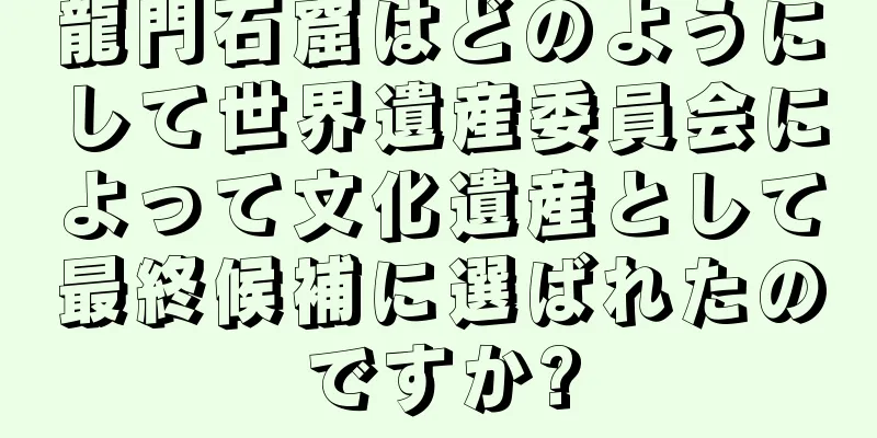 龍門石窟はどのようにして世界遺産委員会によって文化遺産として最終候補に選ばれたのですか?