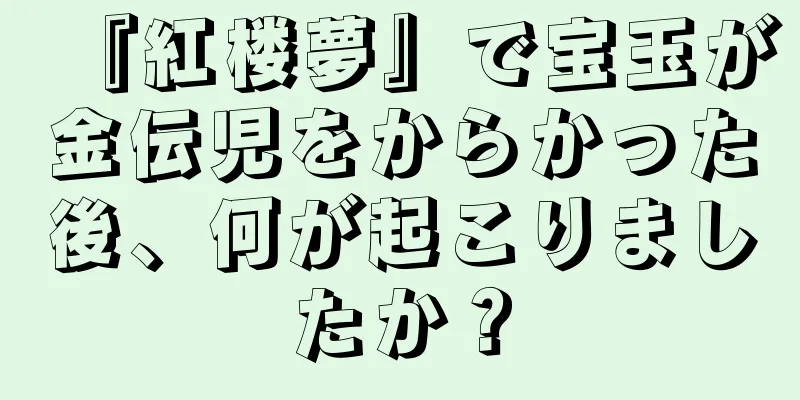 『紅楼夢』で宝玉が金伝児をからかった後、何が起こりましたか？