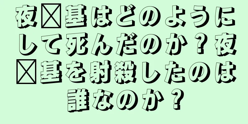 夜红基はどのようにして死んだのか？夜红基を射殺したのは誰なのか？