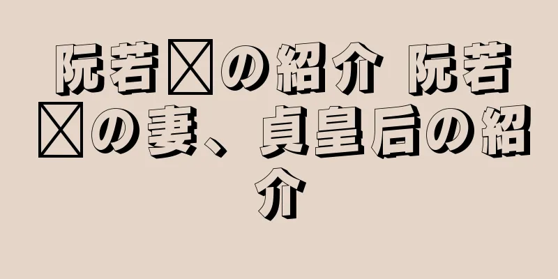 阮若璜の紹介 阮若璜の妻、貞皇后の紹介