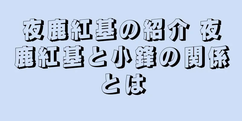 夜鹿紅基の紹介 夜鹿紅基と小鋒の関係とは