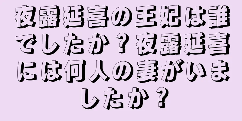 夜露延喜の王妃は誰でしたか？夜露延喜には何人の妻がいましたか？
