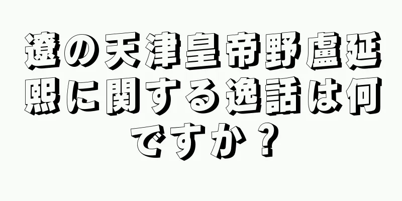 遼の天津皇帝野盧延熙に関する逸話は何ですか？
