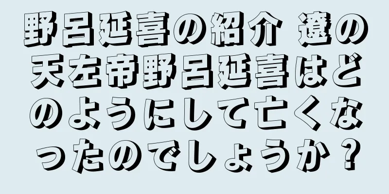 野呂延喜の紹介 遼の天左帝野呂延喜はどのようにして亡くなったのでしょうか？