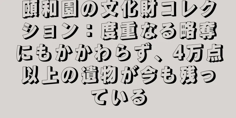 頤和園の文化財コレクション：度重なる略奪にもかかわらず、4万点以上の遺物が今も残っている