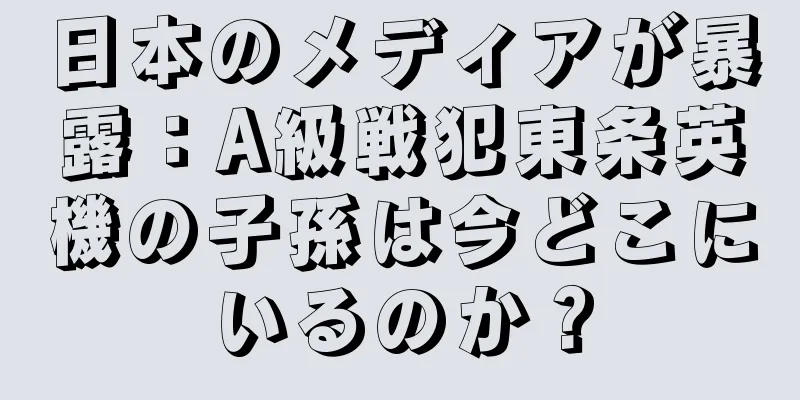 日本のメディアが暴露：A級戦犯東条英機の子孫は今どこにいるのか？