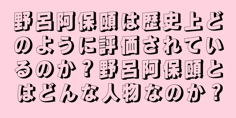 野呂阿保頤は歴史上どのように評価されているのか？野呂阿保頤とはどんな人物なのか？