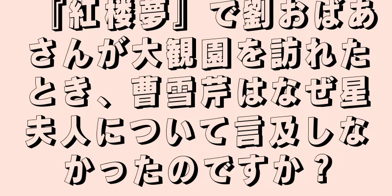 『紅楼夢』で劉おばあさんが大観園を訪れたとき、曹雪芹はなぜ星夫人について言及しなかったのですか？