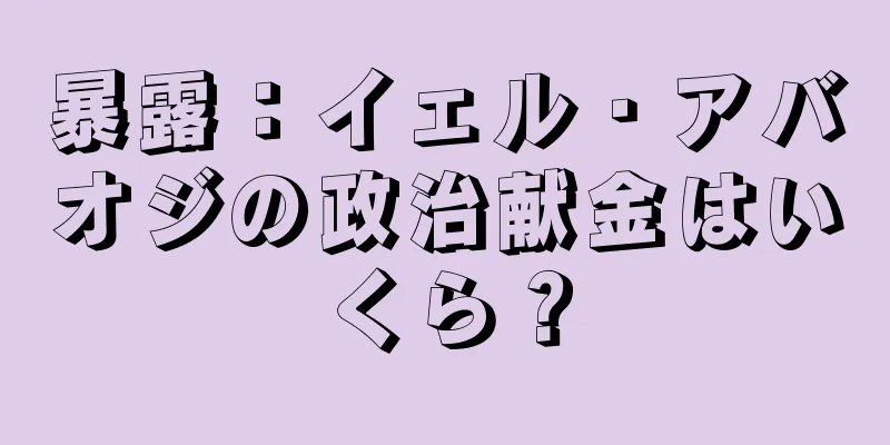 暴露：イェル・アバオジの政治献金はいくら？