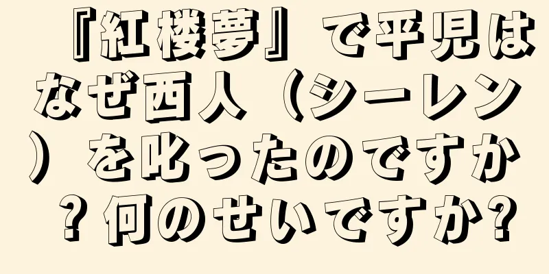 『紅楼夢』で平児はなぜ西人（シーレン）を叱ったのですか？何のせいですか?
