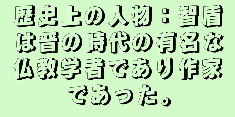 歴史上の人物：智盾は晋の時代の有名な仏教学者であり作家であった。