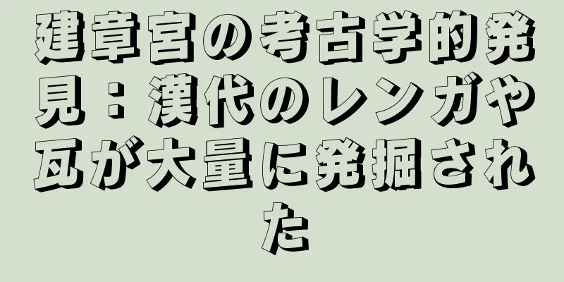 建章宮の考古学的発見：漢代のレンガや瓦が大量に発掘された