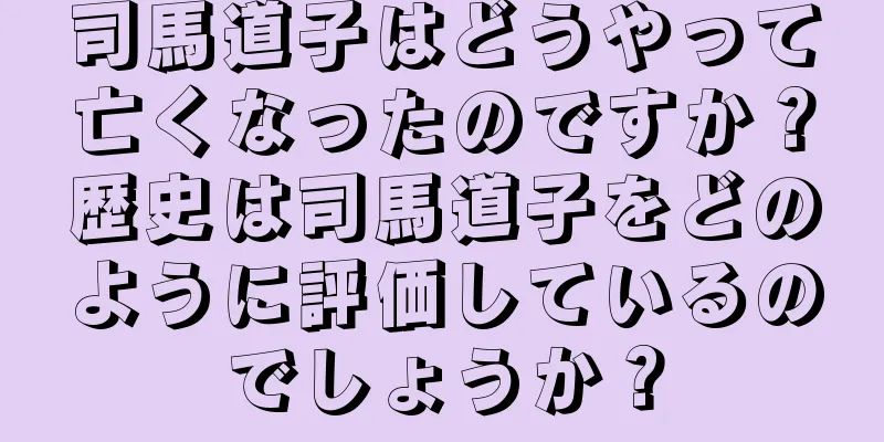 司馬道子はどうやって亡くなったのですか？歴史は司馬道子をどのように評価しているのでしょうか？