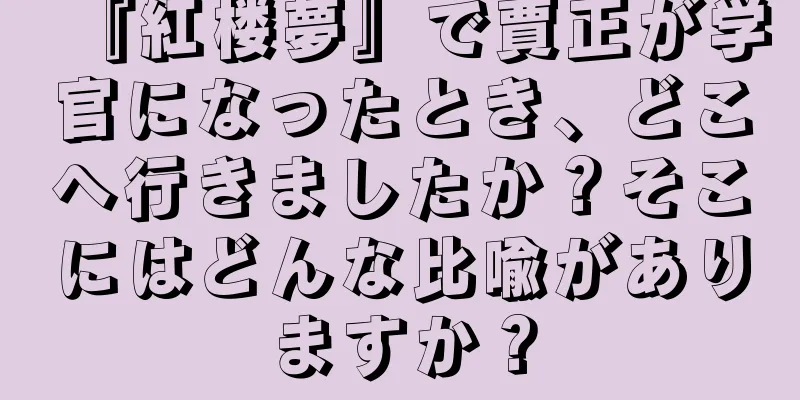 『紅楼夢』で賈正が学官になったとき、どこへ行きましたか？そこにはどんな比喩がありますか？