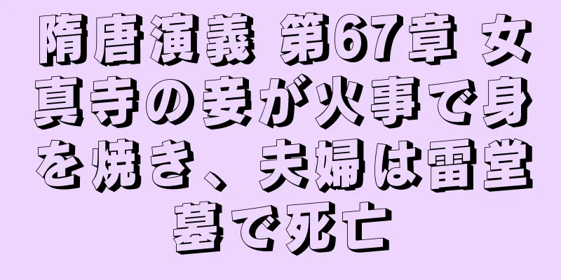 隋唐演義 第67章 女真寺の妾が火事で身を焼き、夫婦は雷堂墓で死亡
