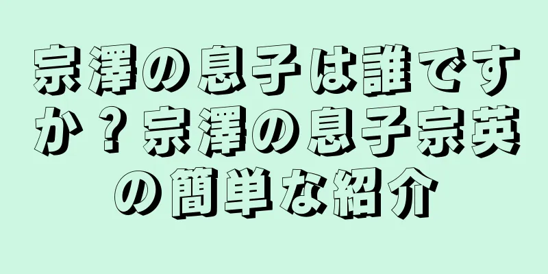 宗澤の息子は誰ですか？宗澤の息子宗英の簡単な紹介