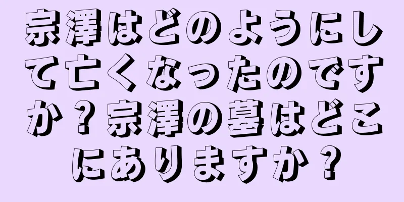 宗澤はどのようにして亡くなったのですか？宗澤の墓はどこにありますか？