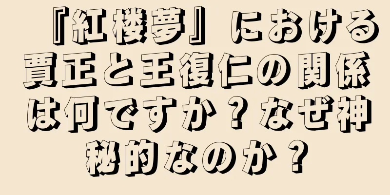 『紅楼夢』における賈正と王復仁の関係は何ですか？なぜ神秘的なのか？