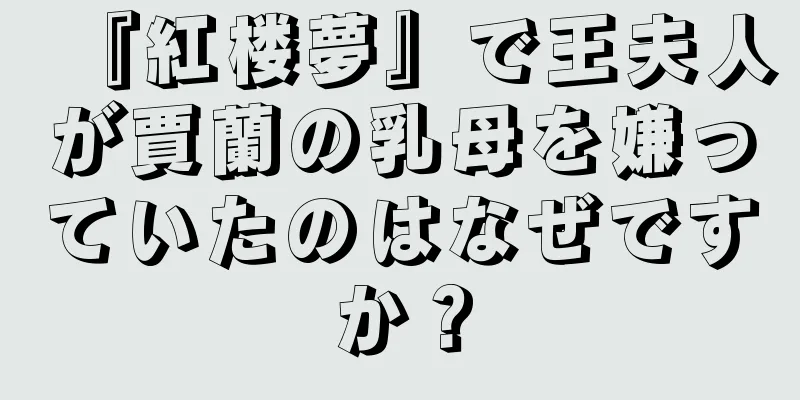 『紅楼夢』で王夫人が賈蘭の乳母を嫌っていたのはなぜですか？