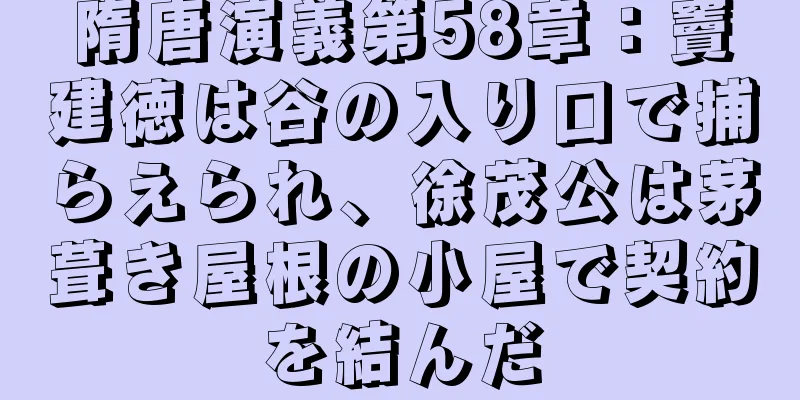 隋唐演義第58章：竇建徳は谷の入り口で捕らえられ、徐茂公は茅葺き屋根の小屋で契約を結んだ