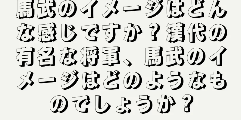 馬武のイメージはどんな感じですか？漢代の有名な将軍、馬武のイメージはどのようなものでしょうか？