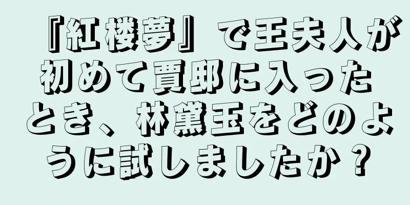 『紅楼夢』で王夫人が初めて賈邸に入ったとき、林黛玉をどのように試しましたか？