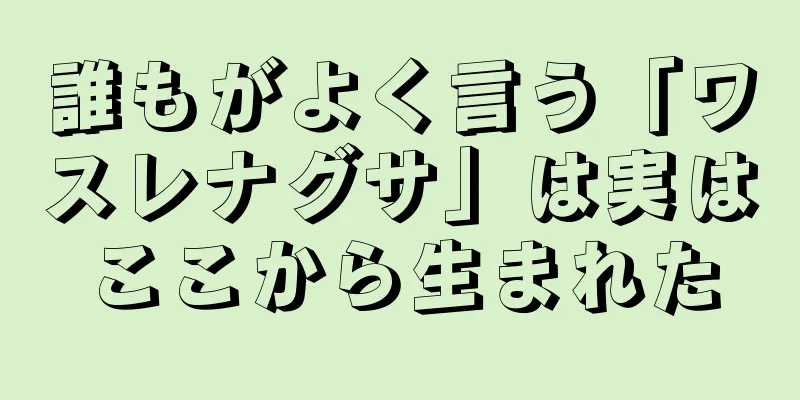 誰もがよく言う「ワスレナグサ」は実はここから生まれた