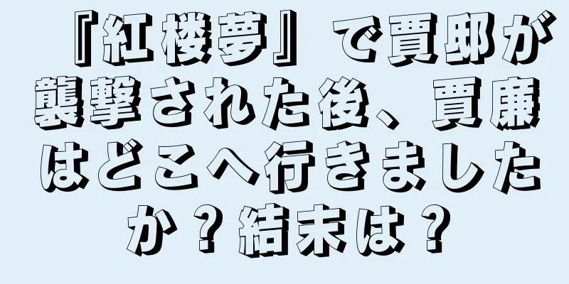 『紅楼夢』で賈邸が襲撃された後、賈廉はどこへ行きましたか？結末は？