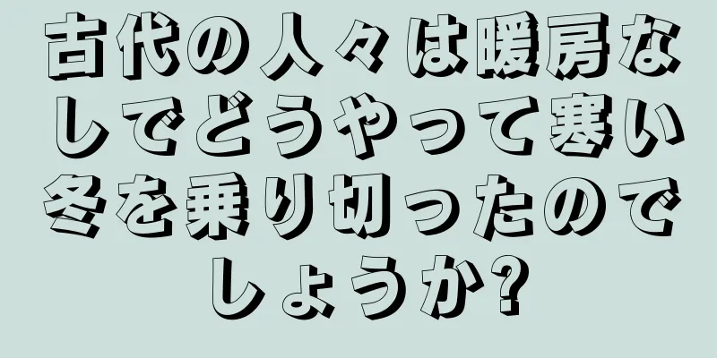 古代の人々は暖房なしでどうやって寒い冬を乗り切ったのでしょうか?