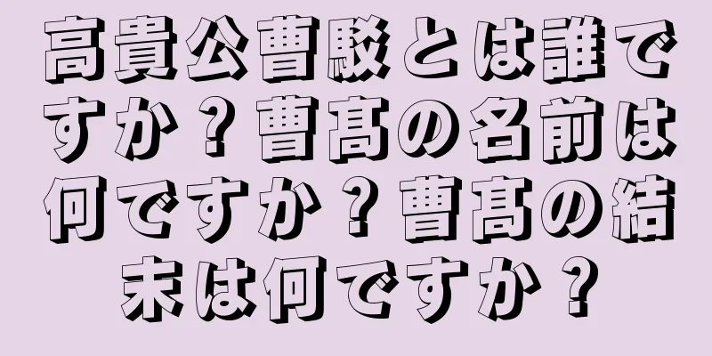 高貴公曹駁とは誰ですか？曹髙の名前は何ですか？曹髙の結末は何ですか？