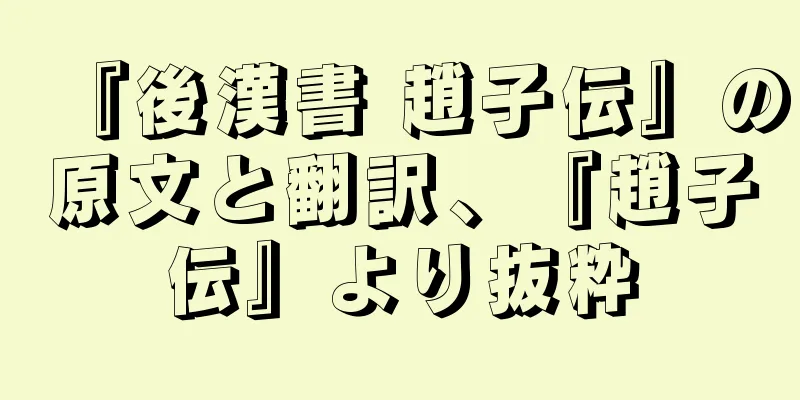 『後漢書 趙子伝』の原文と翻訳、『趙子伝』より抜粋