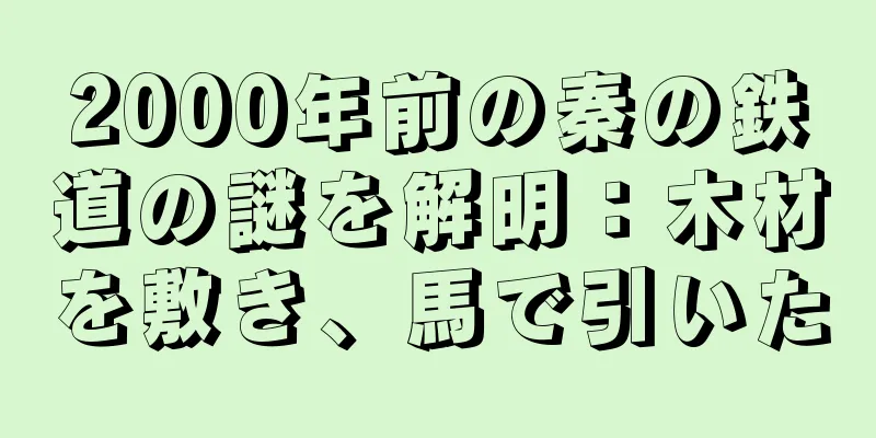 2000年前の秦の鉄道の謎を解明：木材を敷き、馬で引いた