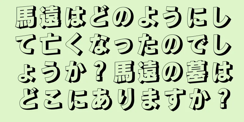 馬遠はどのようにして亡くなったのでしょうか？馬遠の墓はどこにありますか？