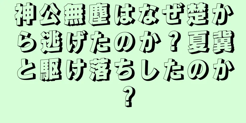 神公無塵はなぜ楚から逃げたのか？夏冀と駆け落ちしたのか？