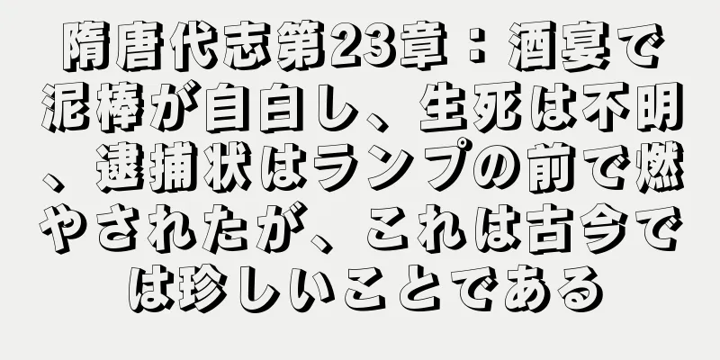 隋唐代志第23章：酒宴で泥棒が自白し、生死は不明、逮捕状はランプの前で燃やされたが、これは古今では珍しいことである