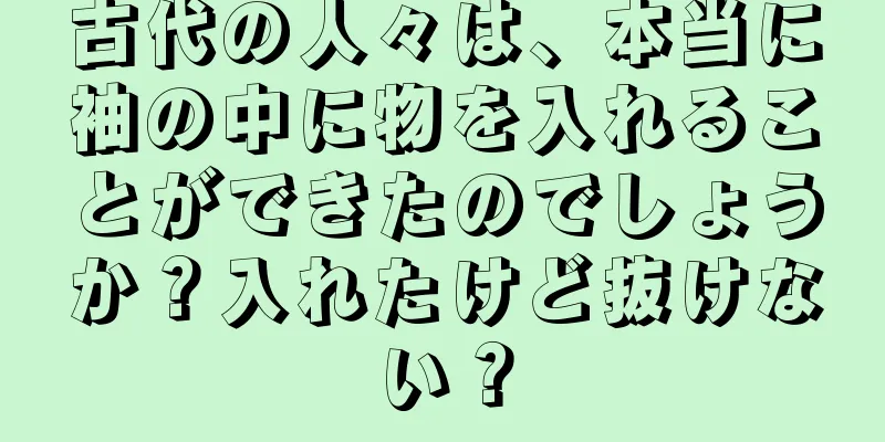 古代の人々は、本当に袖の中に物を入れることができたのでしょうか？入れたけど抜けない？
