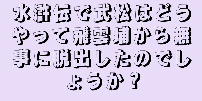 水滸伝で武松はどうやって飛雲埔から無事に脱出したのでしょうか？
