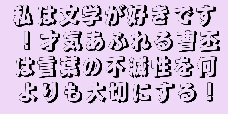 私は文学が好きです！才気あふれる曹丕は言葉の不滅性を何よりも大切にする！