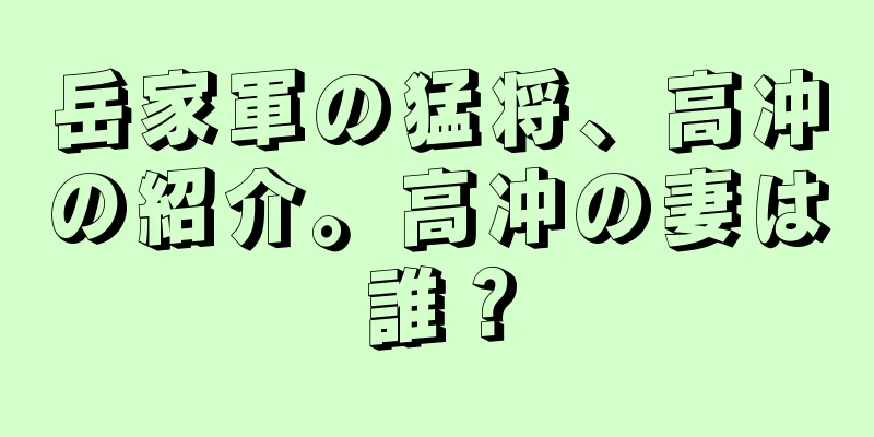 岳家軍の猛将、高冲の紹介。高冲の妻は誰？